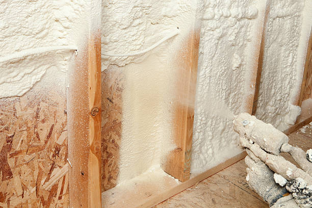 Best Basement Insulation in Melbourne, FL